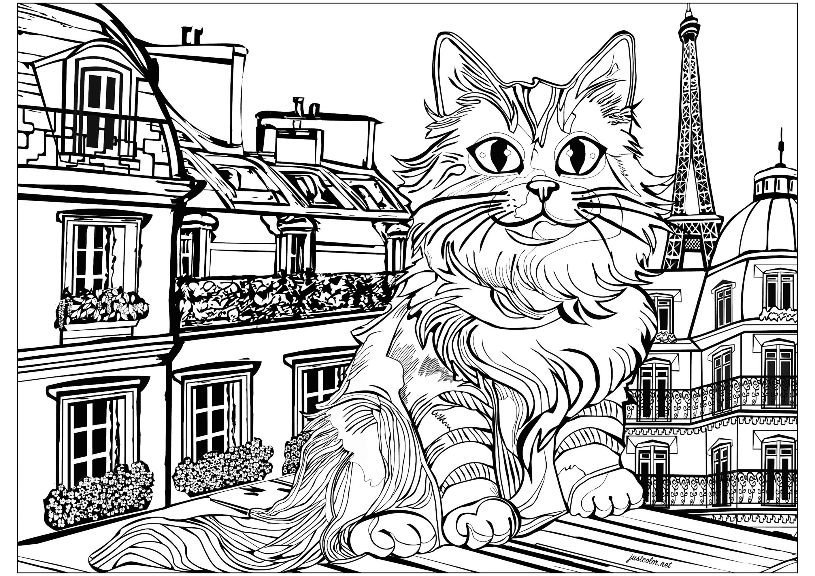 巴黎屋顶上的猫 (适合成人打印的复杂着色 : Paris)