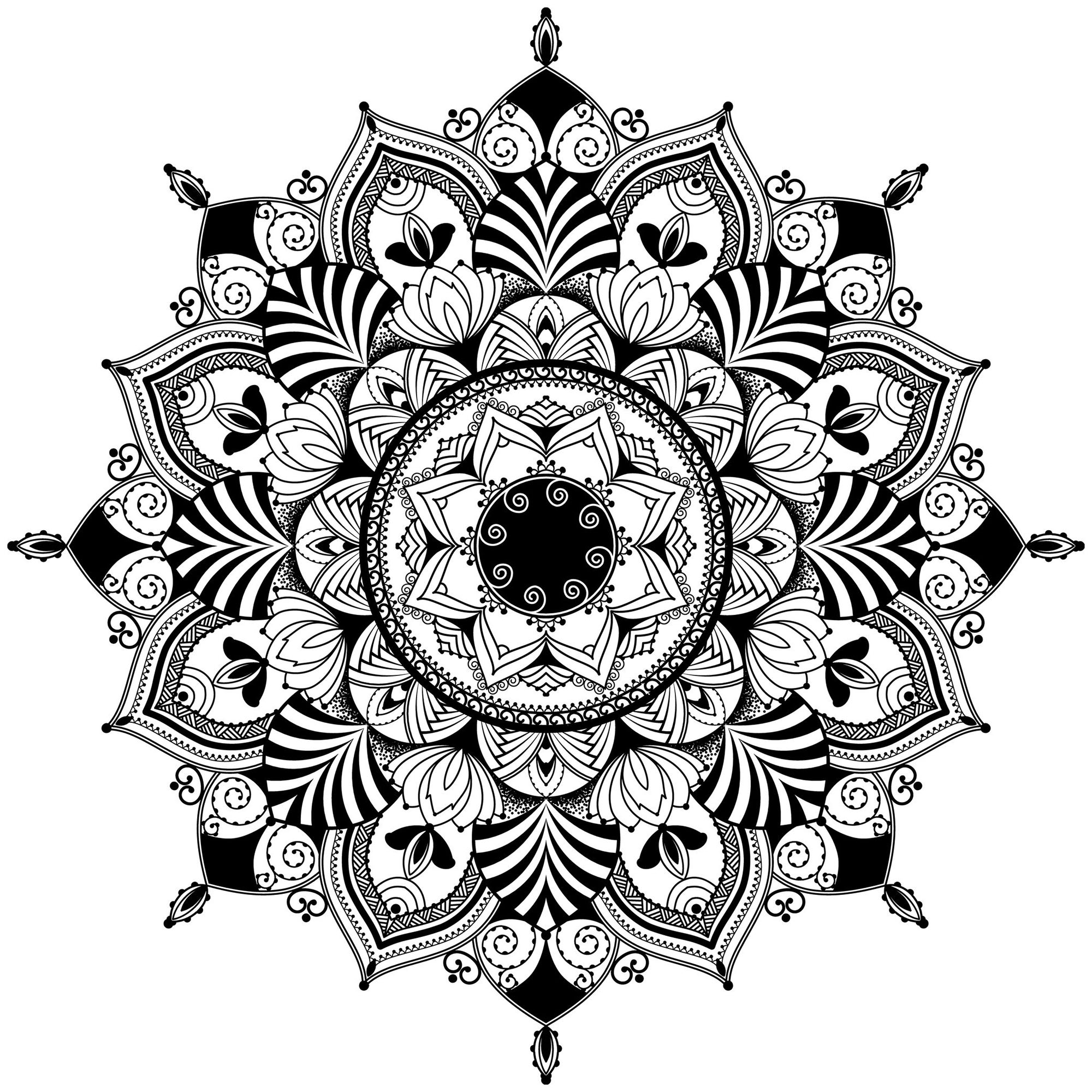 适合成人打印的着色 : 曼陀罗 : 曼陀罗/赞特格灵感插图