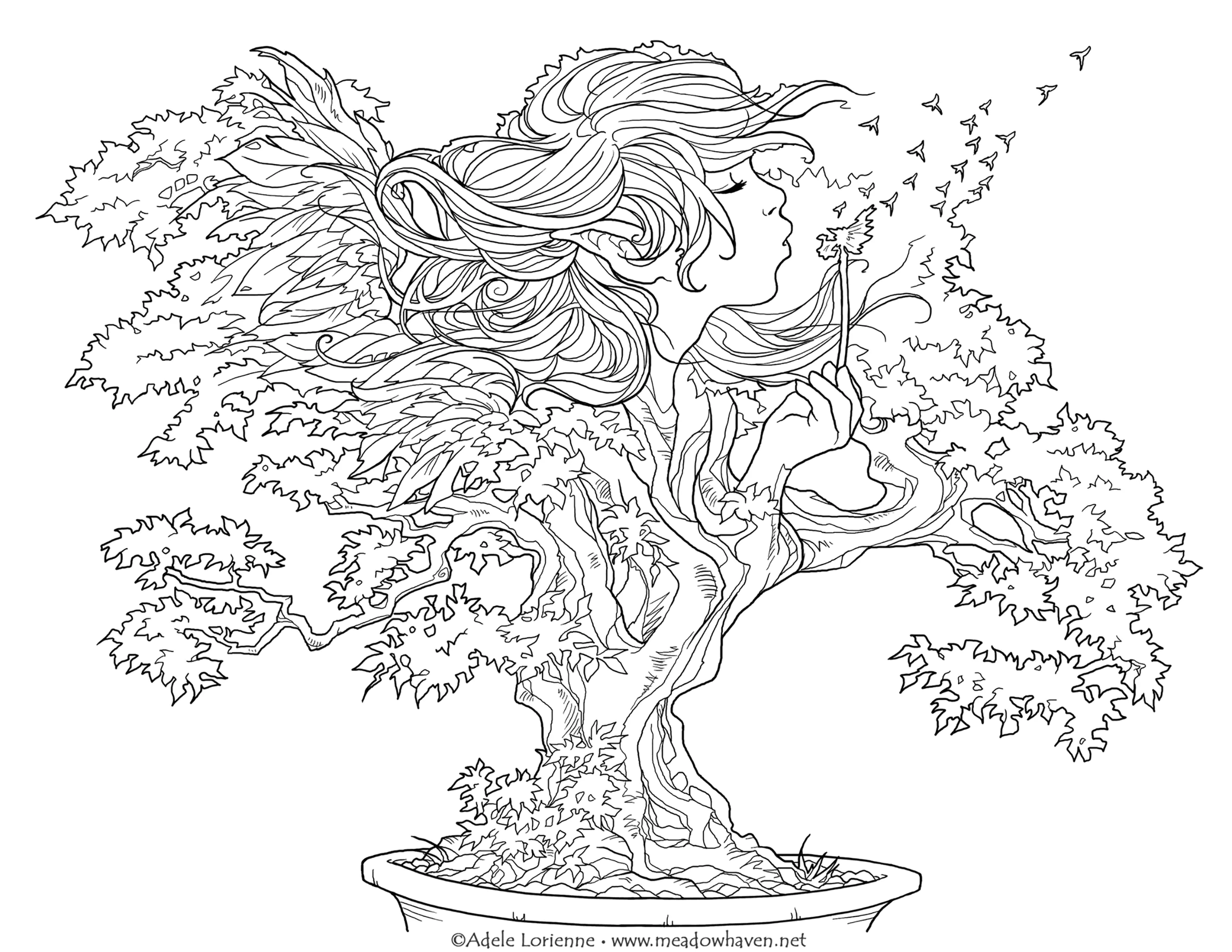 邦赛的愿望 (适合成人打印的着色 : Meadowhaven)