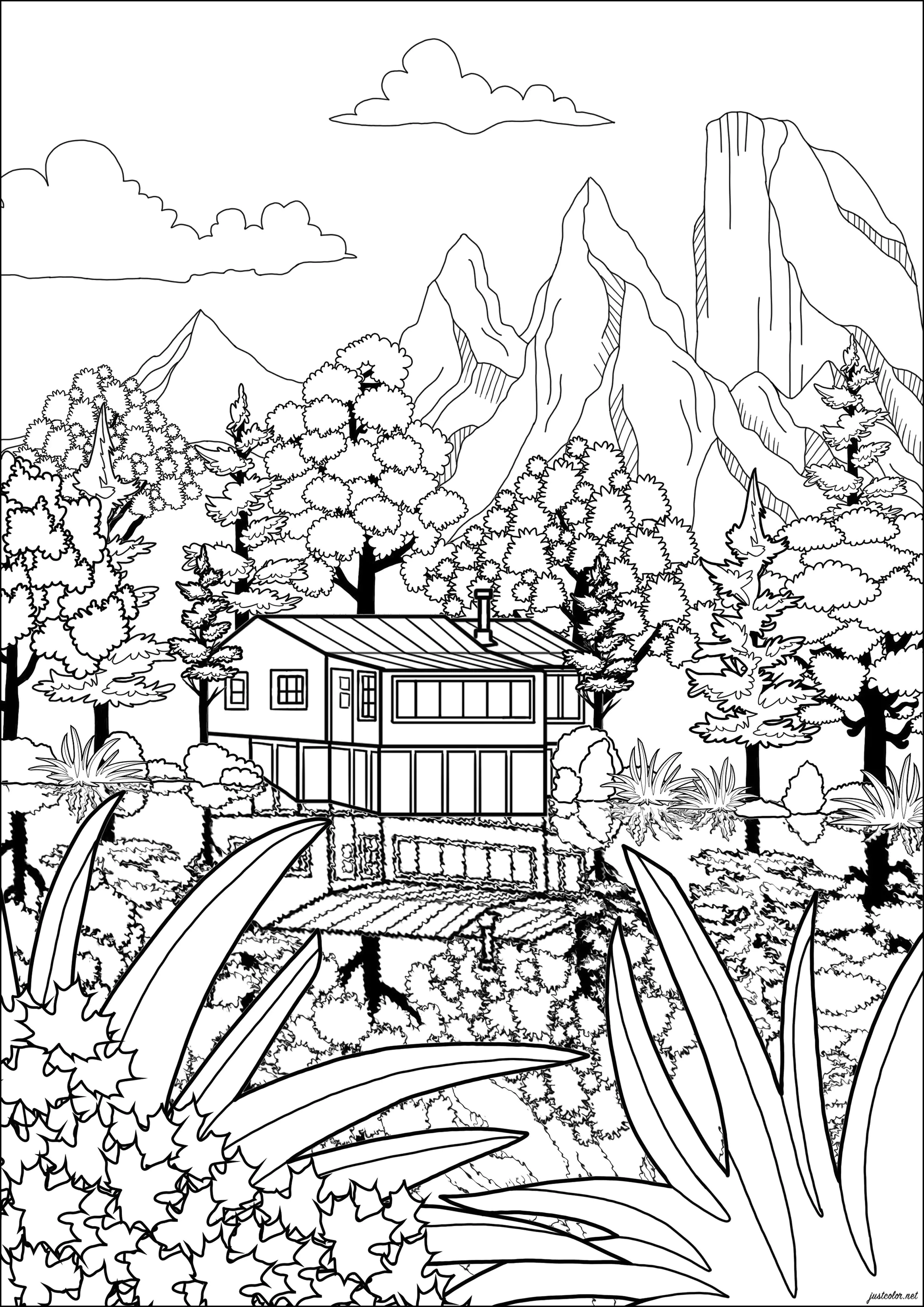 夏日加拿大风光 (适合成人打印的着色 : 风景)