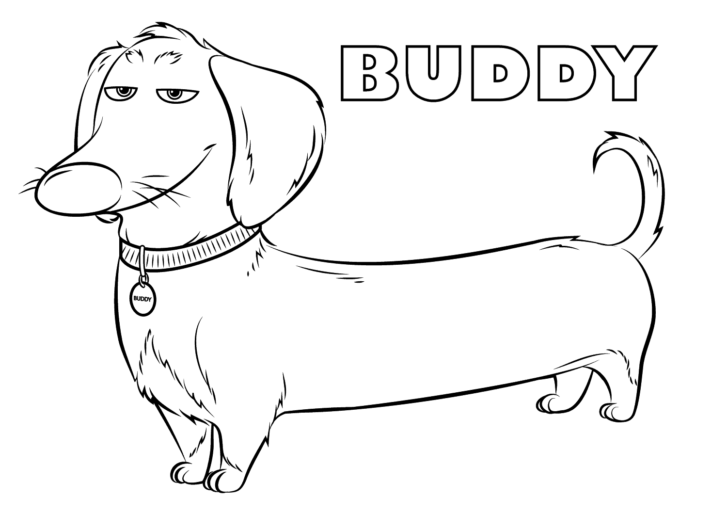 Buddy (Página de A Vida Secreta dos Nossos Bichos para colorir para crianças) Buddy (Página de A Vida Secreta dos Nossos Bichos para colorir e imprimir para crianças)