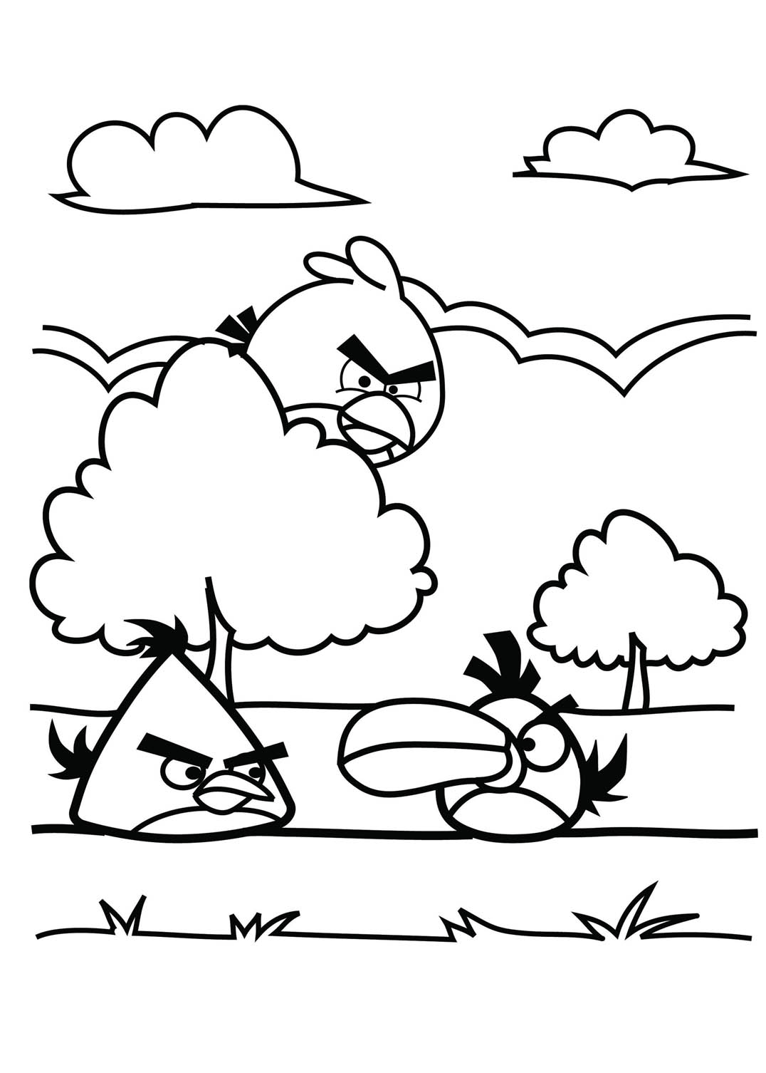 Aves zangadas a desenhar para colorir