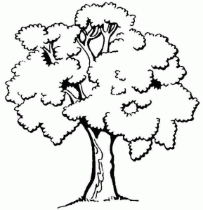 Dibujos para colorear gratis de Árvores para descargar