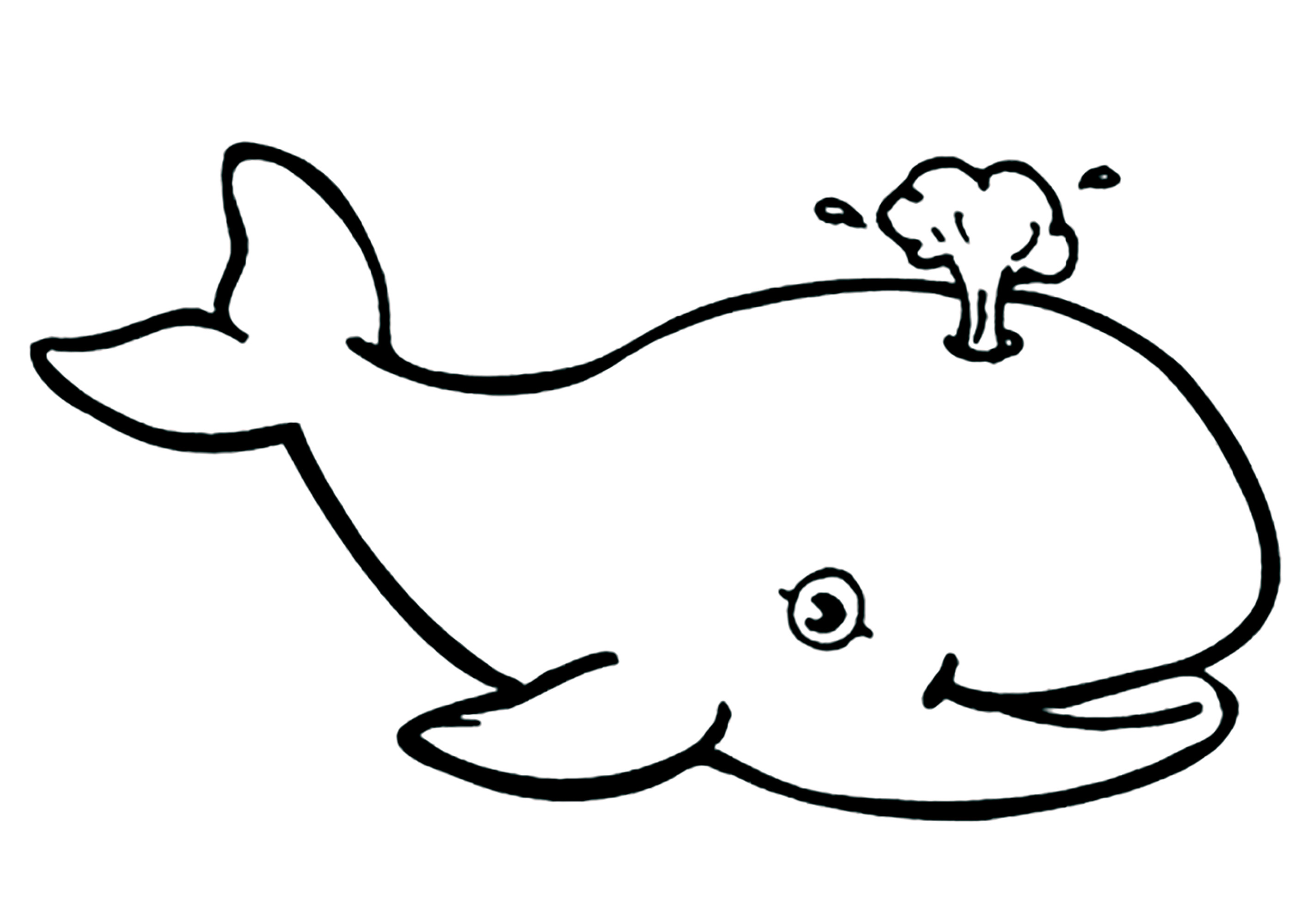 Desenho muito simples para colorir de uma bela baleia a evacuar a água. As Baleias fazem estes jactos de água quando sopram o ar dos pulmões ao subir à superfície para recuperar o fôlego.