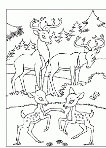 Desenho Bambi grátis para descarregar e colorir