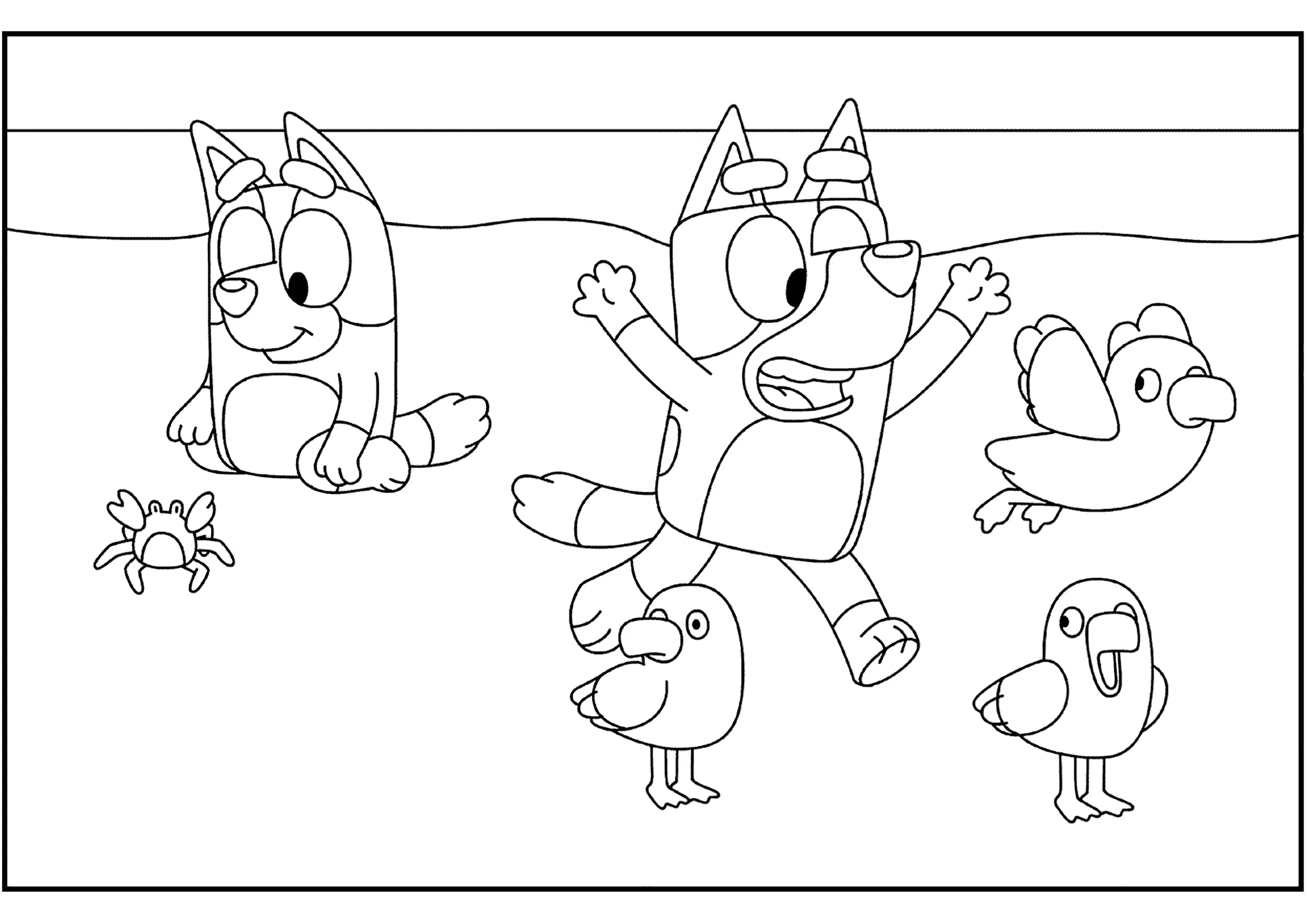 Bluey e os pássaros (Página para colorir e imprimir para crianças)