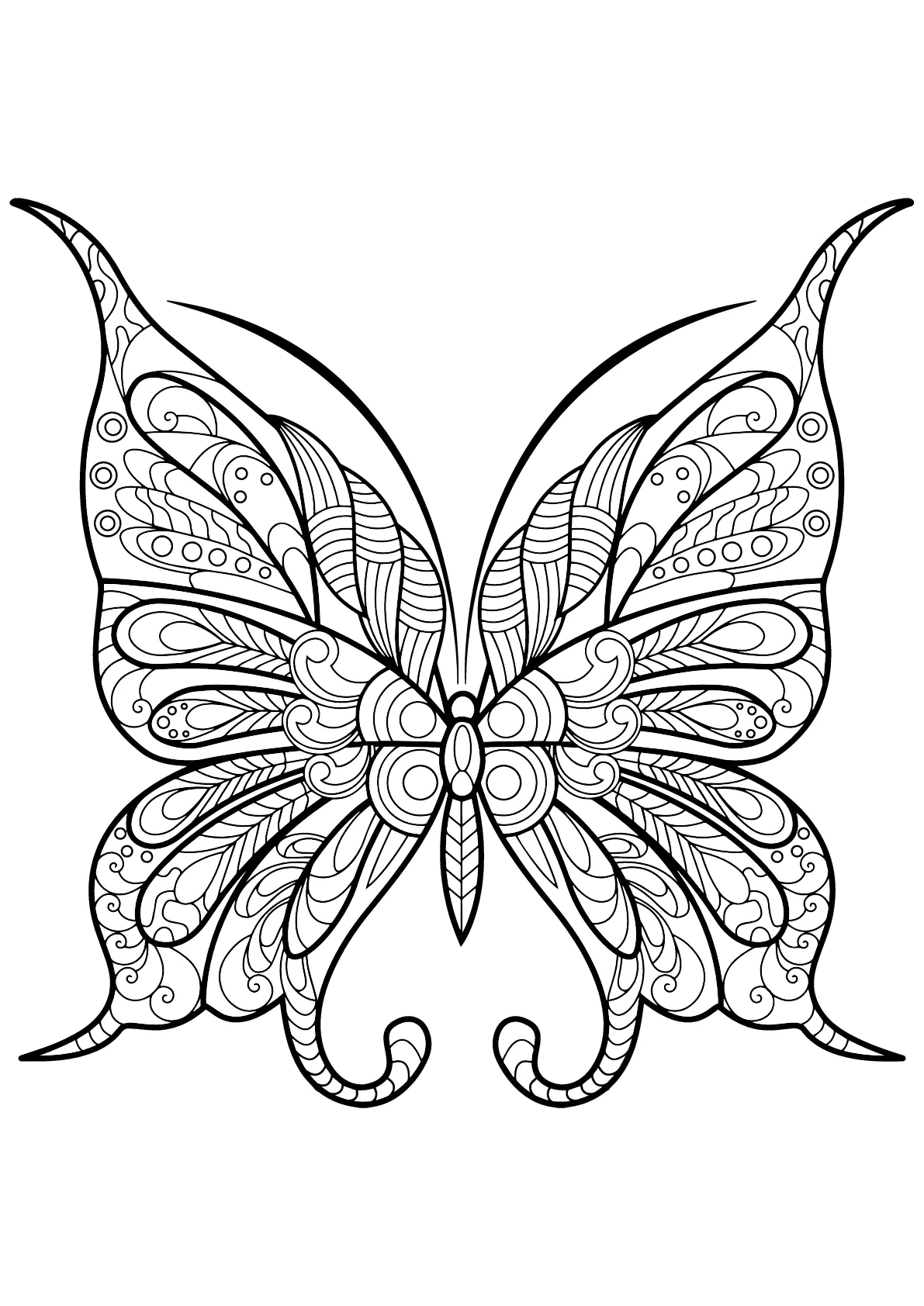 Borboleta com padrões bonitos e intrincados - 9 (Página para colorir e imprimir para crianças)