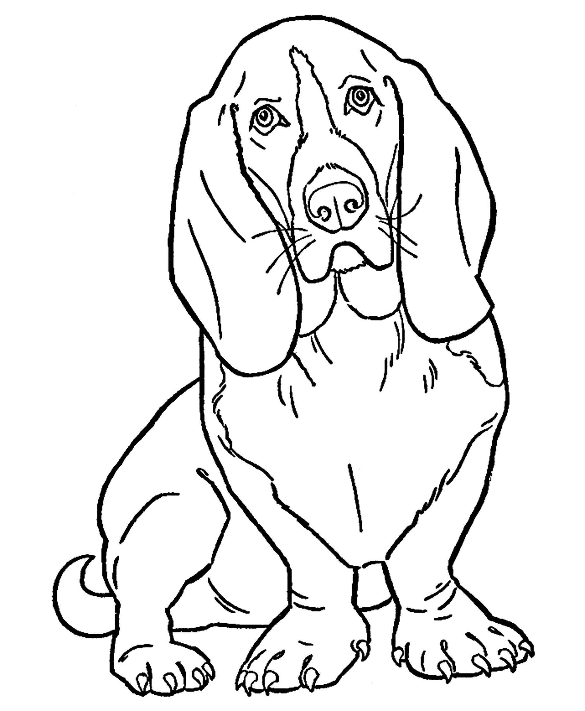 Desenho de cães para imprimir e colorir