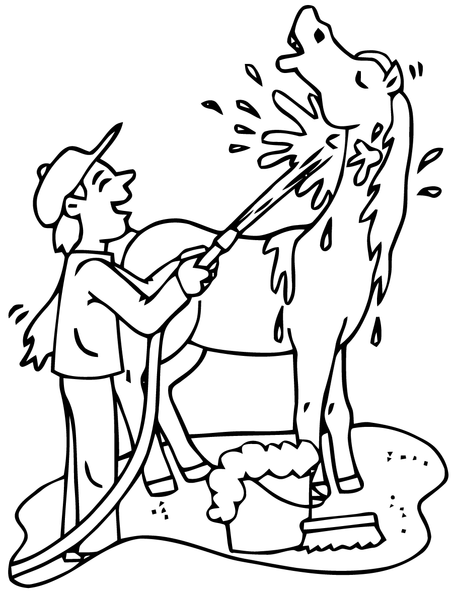 Uma criança lava o seu cavalo