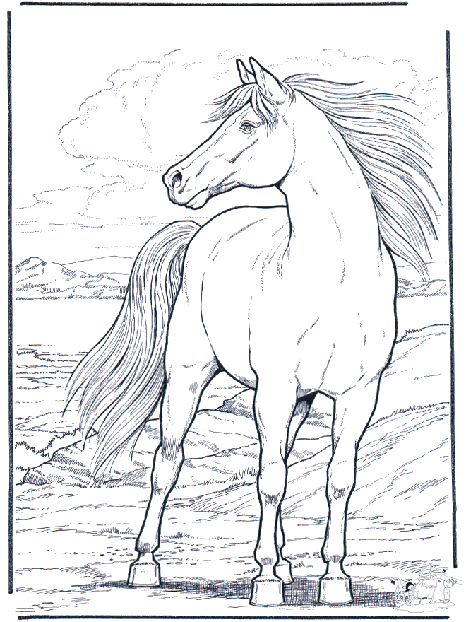Lindo desenho de um cavalo com uma crina ao vento para colorir