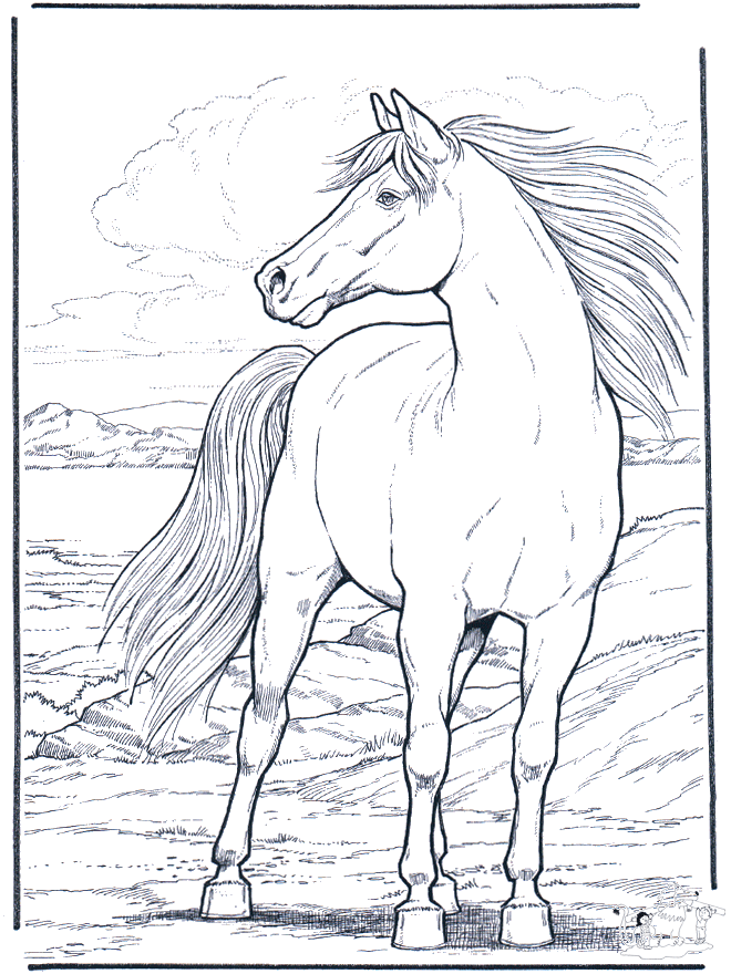 Desenho de Cavalo de competição para Colorir - Colorir.com