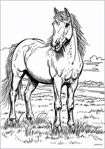 Página de para colorir e imprimir para crianças : Cavalo simples e magnífico