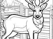 Páginas de Cervo para colorir e imprimir para crianças
