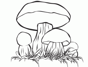 Página de para colorir e imprimir para crianças : Páginas de coloração de cogumelos imprimíveis para crianças