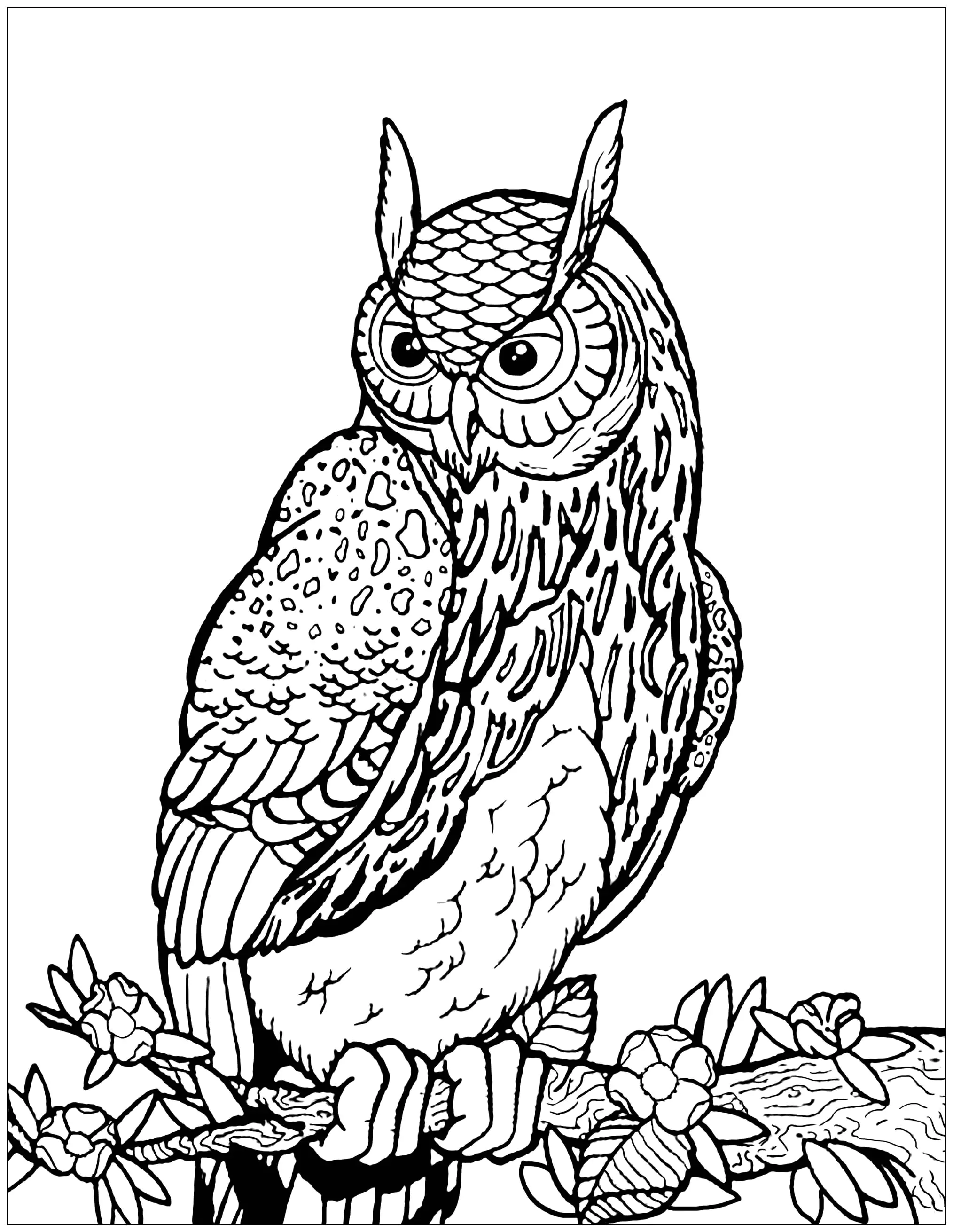 Coruja bonita sobre um ramo de árvore (Página para colorir e imprimir para crianças)