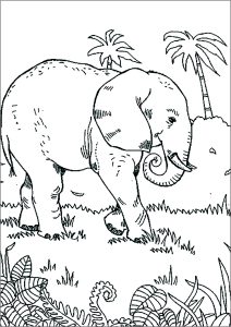 Elefante a caminhar na Savana