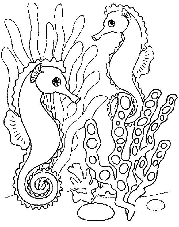 Desenhos para colorir de desenho de um lindo cavalo marinho para