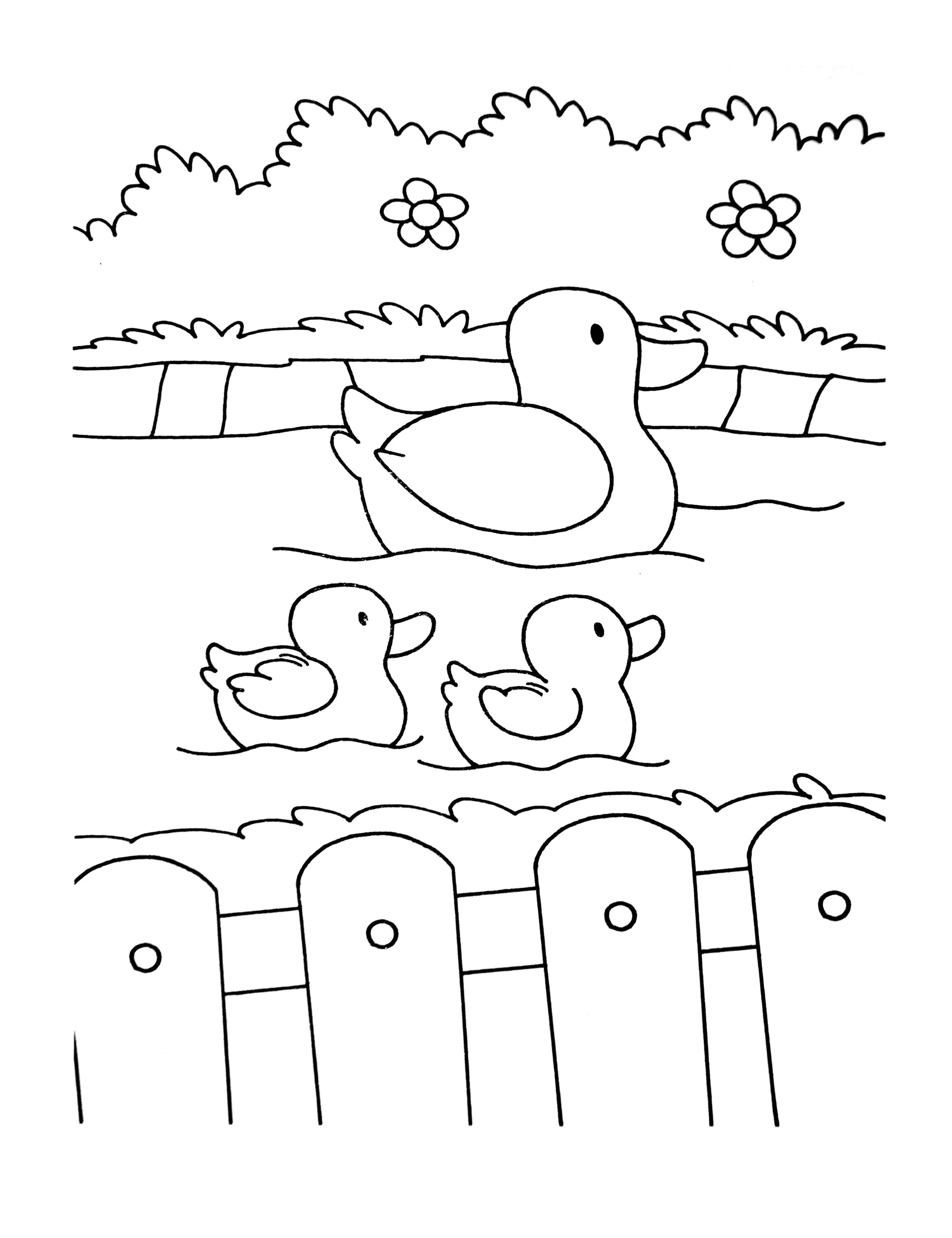 Três patos (Página de Na Fazenda (tratores, fazendeiro, animais…) para colorir e imprimir para crianças)