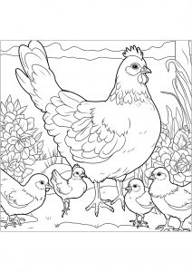 Página de Na Fazenda (tratores, fazendeiro, animais...) para colorir e imprimir para crianças : Galinhas e pintos