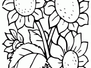 Desenhos de Flores para colorir