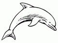Páginas de coloração de golfinhos para crianças