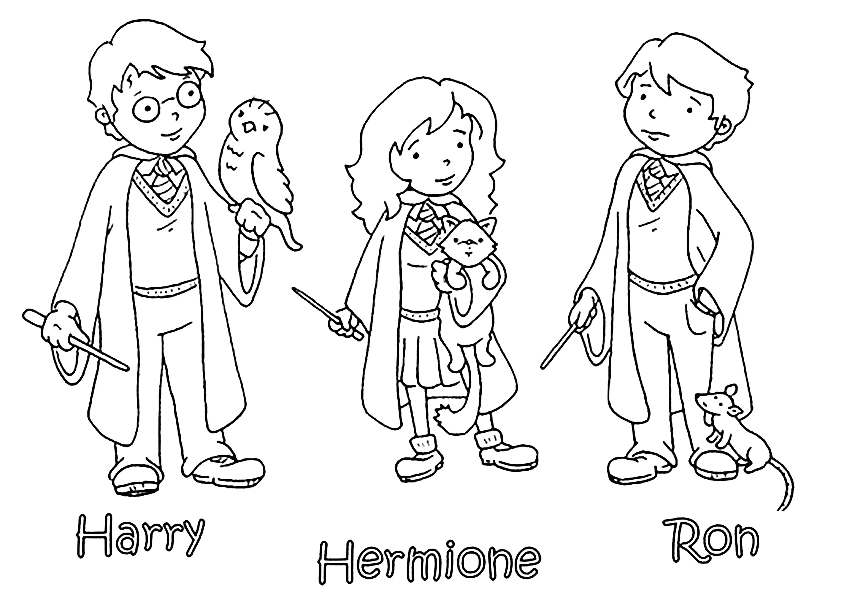 Harry, Ron e Hermione: estilo simples (Página de Harry Potter para colorir e imprimir para crianças)