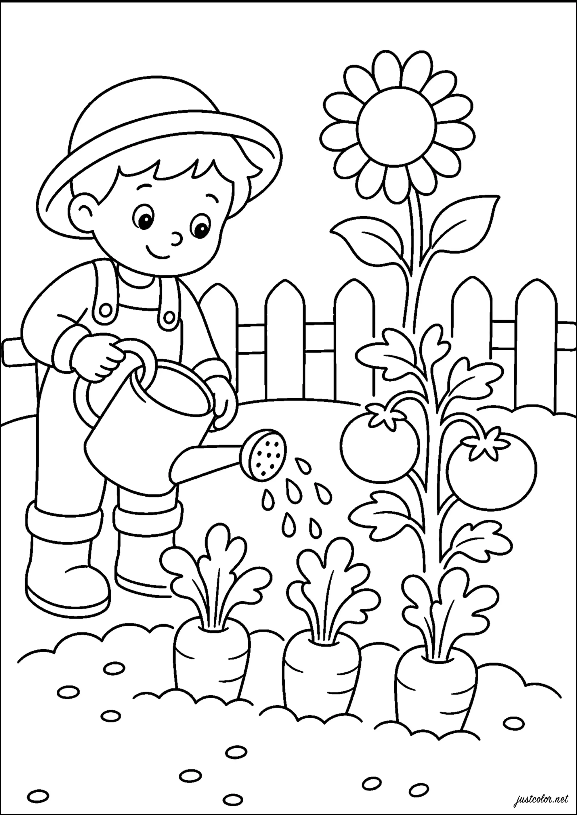 Pequeno jardineiro e suas colheitas (Página de Jardim / horta para colorir e imprimir para crianças)