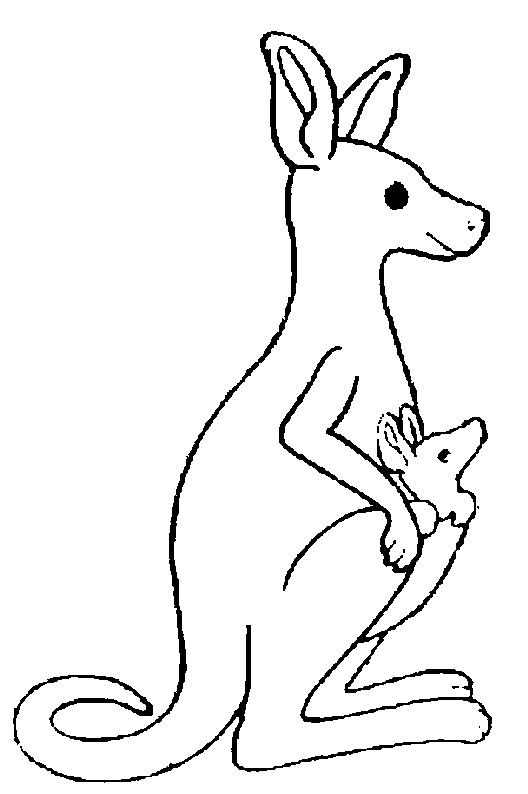 Incrível Coloração Kangaroo, simples, para crianças