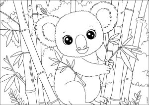Koala empoleirado no bambu (Página de Coalas para colorir para crianças)