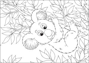Página de Coalas para colorir e imprimir para crianças : Koala pendurado num ramo de bambu