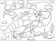 Páginas de Lagosta para colorir e imprimir para crianças