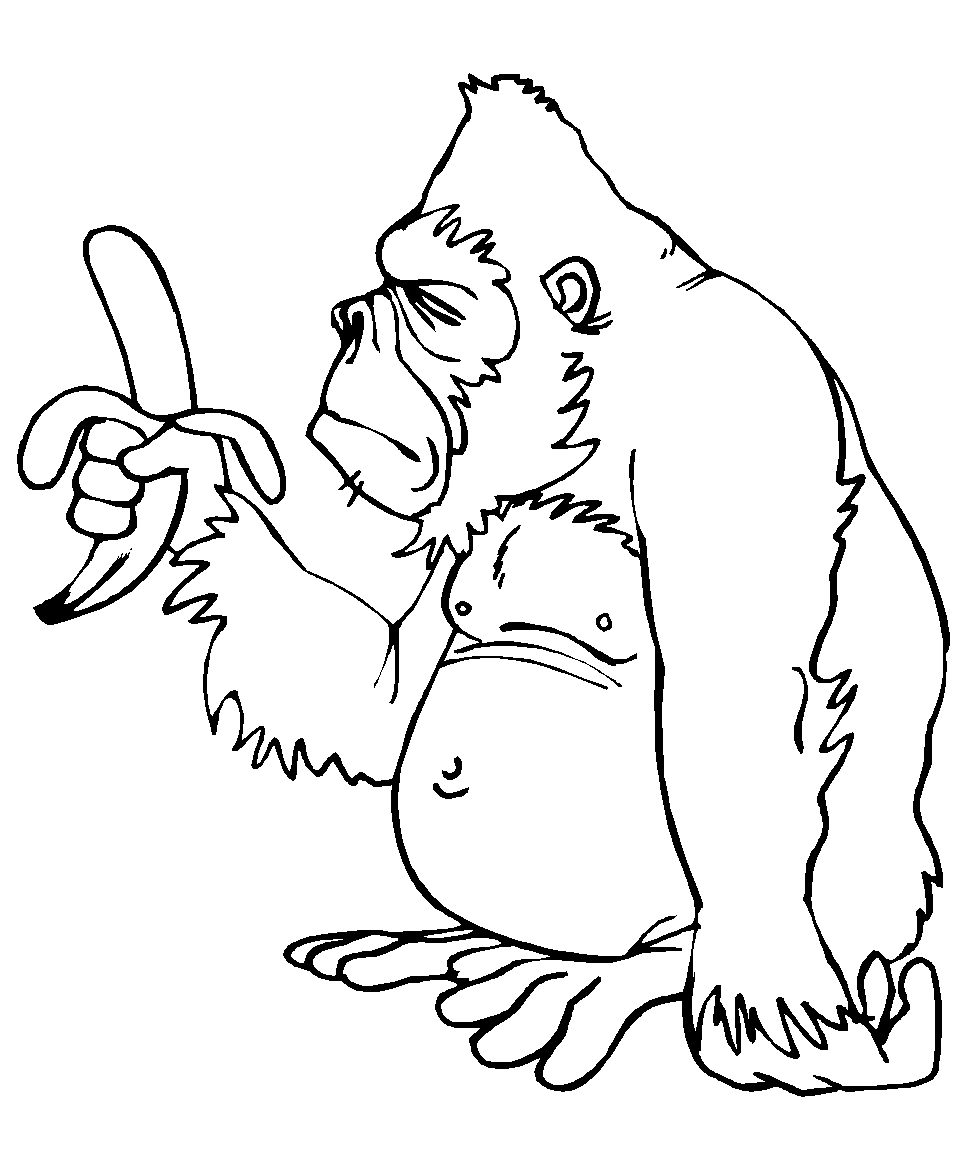 Um macaco grande que vai comer uma banana