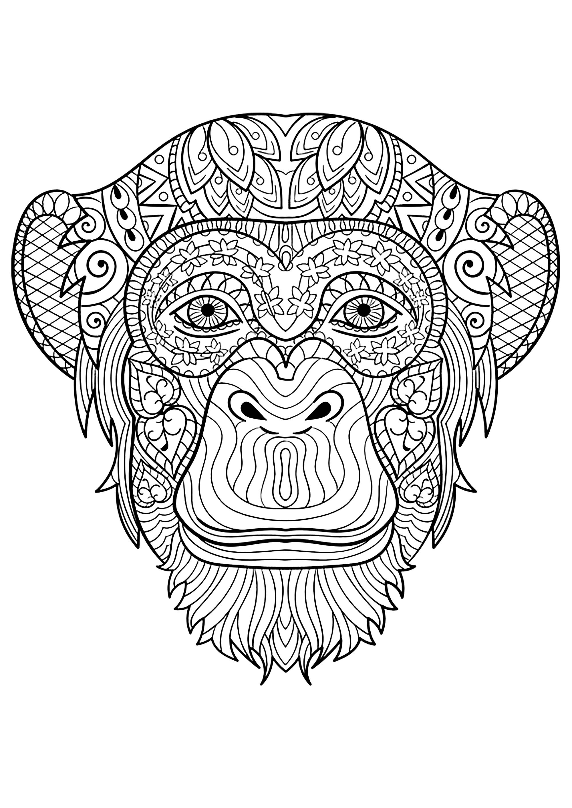 Coloração simples de macacos para crianças
