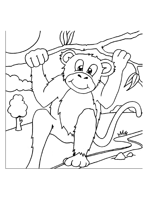 Macaco para colorir para crianças - Macacos - Just Color Crianças