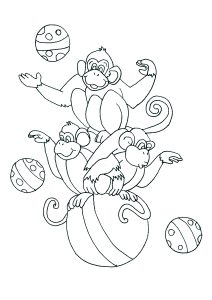 Macacos de circo, a brincar numa bola grande