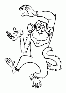 Imagem de macaco para descarregar e colorir