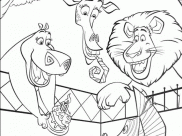 Desenhos de Madagascar para colorir