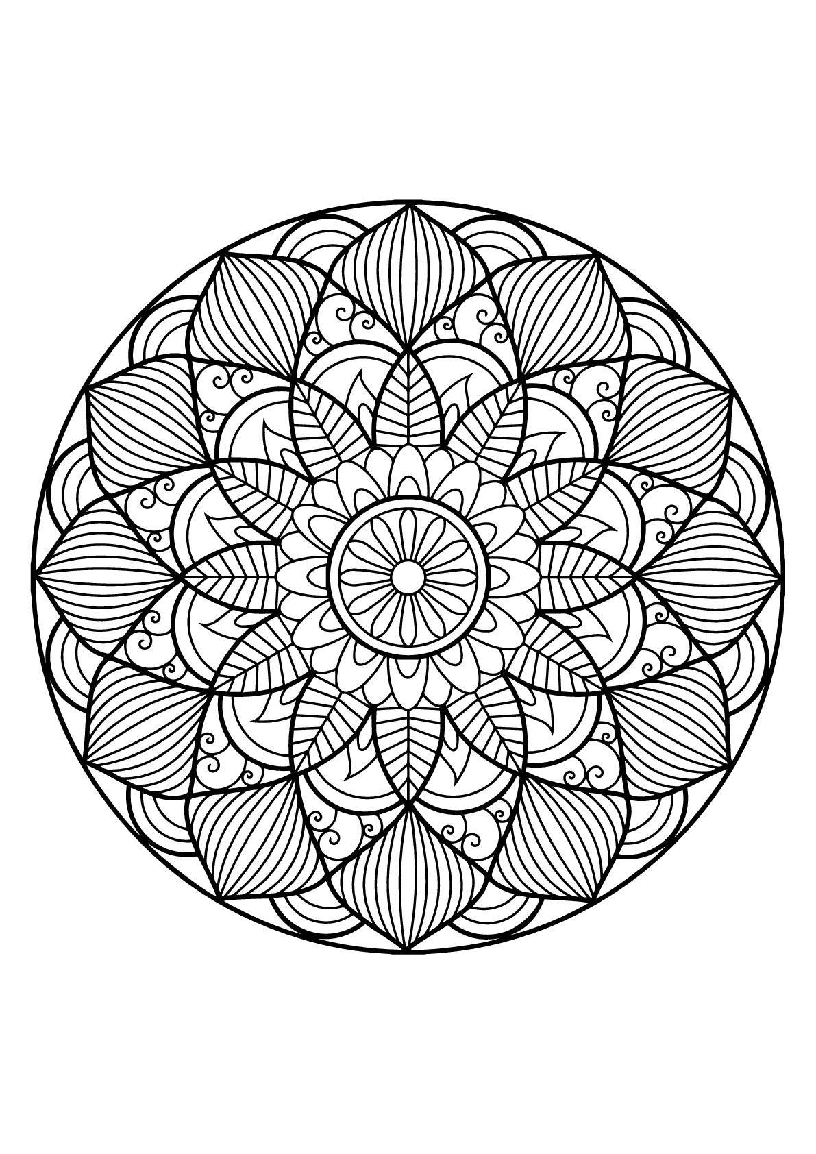 Mandala complexa de um livro de coloração livre