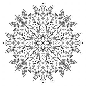 Mandala com folhas e flores