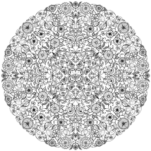 Desenhos simples para crianças para colorir de páginas para colorir adultos