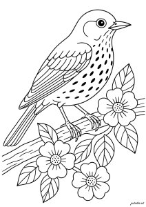 Pássaro elegante empoleirado entre as flores (Página para colorir para crianças)