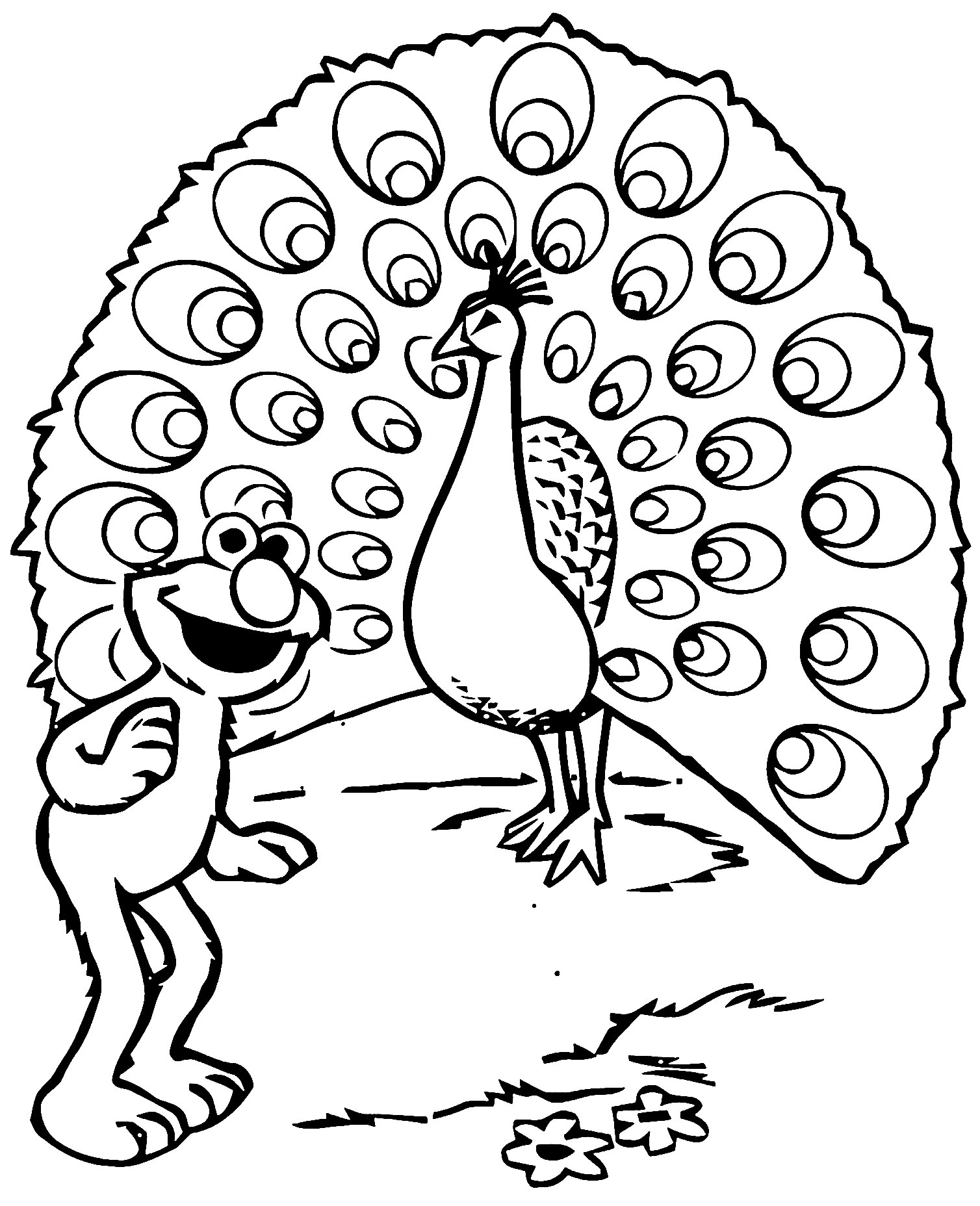 Desenho dos Marretas Peacock e Kermit free drawing to color Desenho dos Marretas Peacock e Kermit free drawing to color