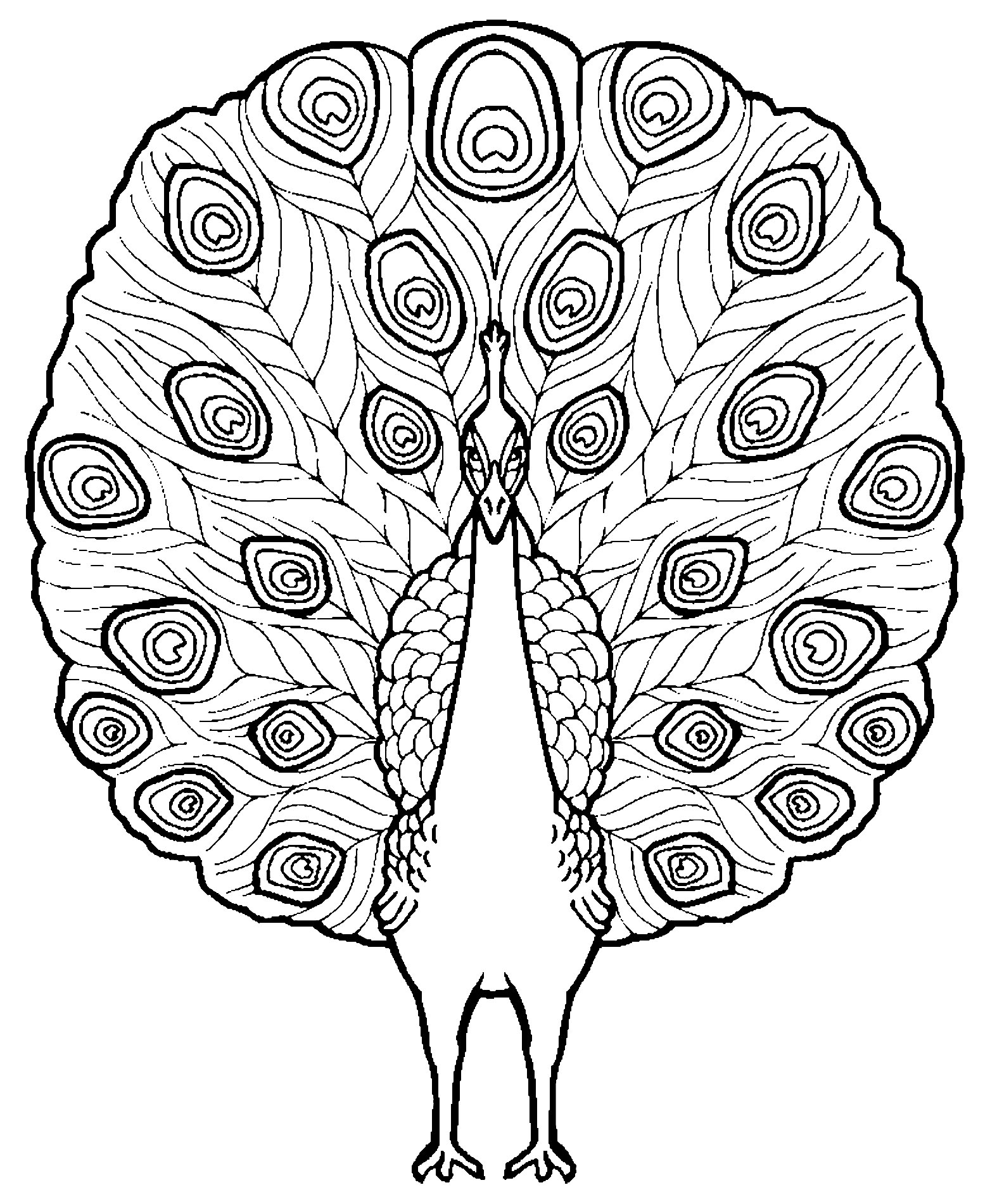 Fácil coloração do pavão para crianças