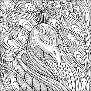 Página de Pavões para colorir e imprimir para crianças : Linda cabeça de pavão