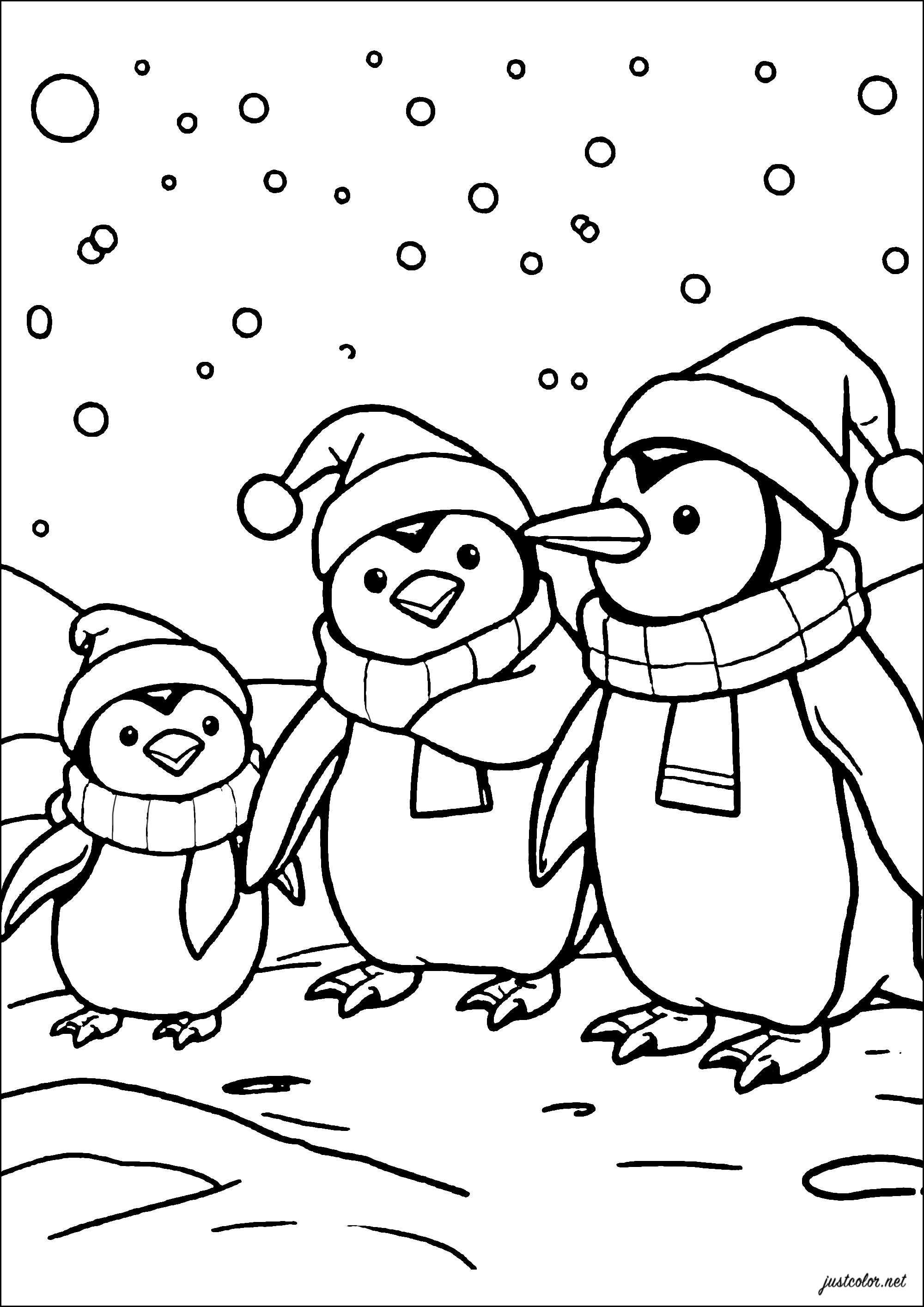 Página de para colorir para crianças : Três pinguins com chapéu e cachecol Página de para colorir e imprimir para crianças : Três pinguins com chapéu e cachecol