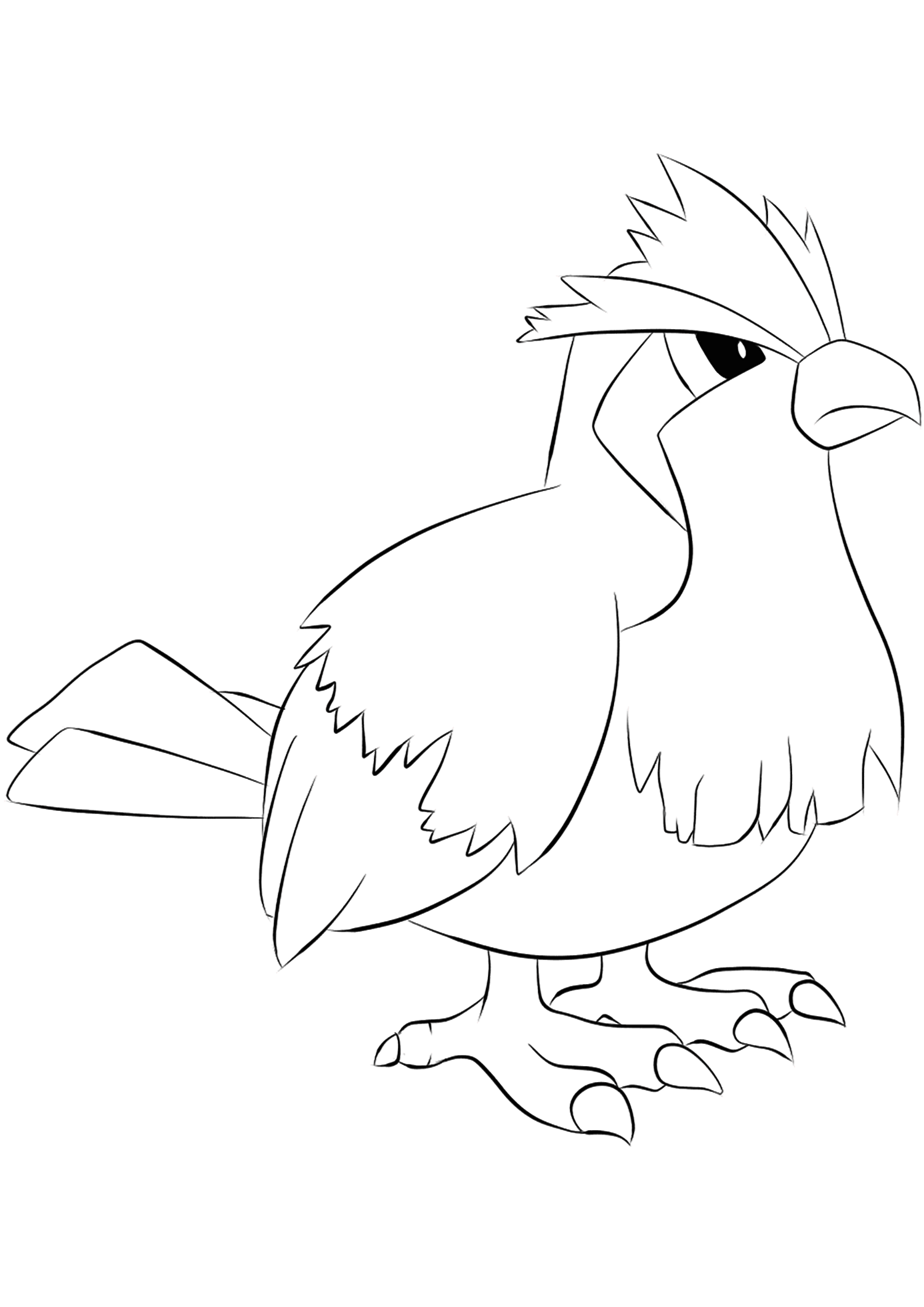 Roucool (No.16). Coloriage de Roucool (Pidgey), Pokémon de Génération I, de type : Normal et VolPermission: Todos os direitos reservados © Pokémon company e Ken Sugimori.