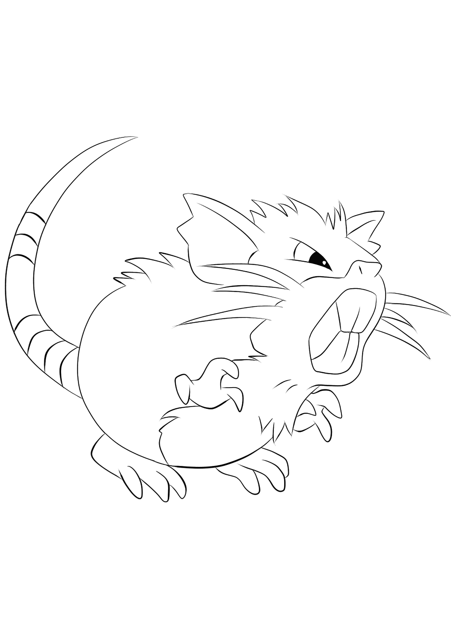 Rattatac (No.20). Coloriage de Rattatac (Raticate), Pokémon de Génération I, de type : Ténèbres et NormalPermission: Todos os direitos reservados © Pokémon company e Ken Sugimori.