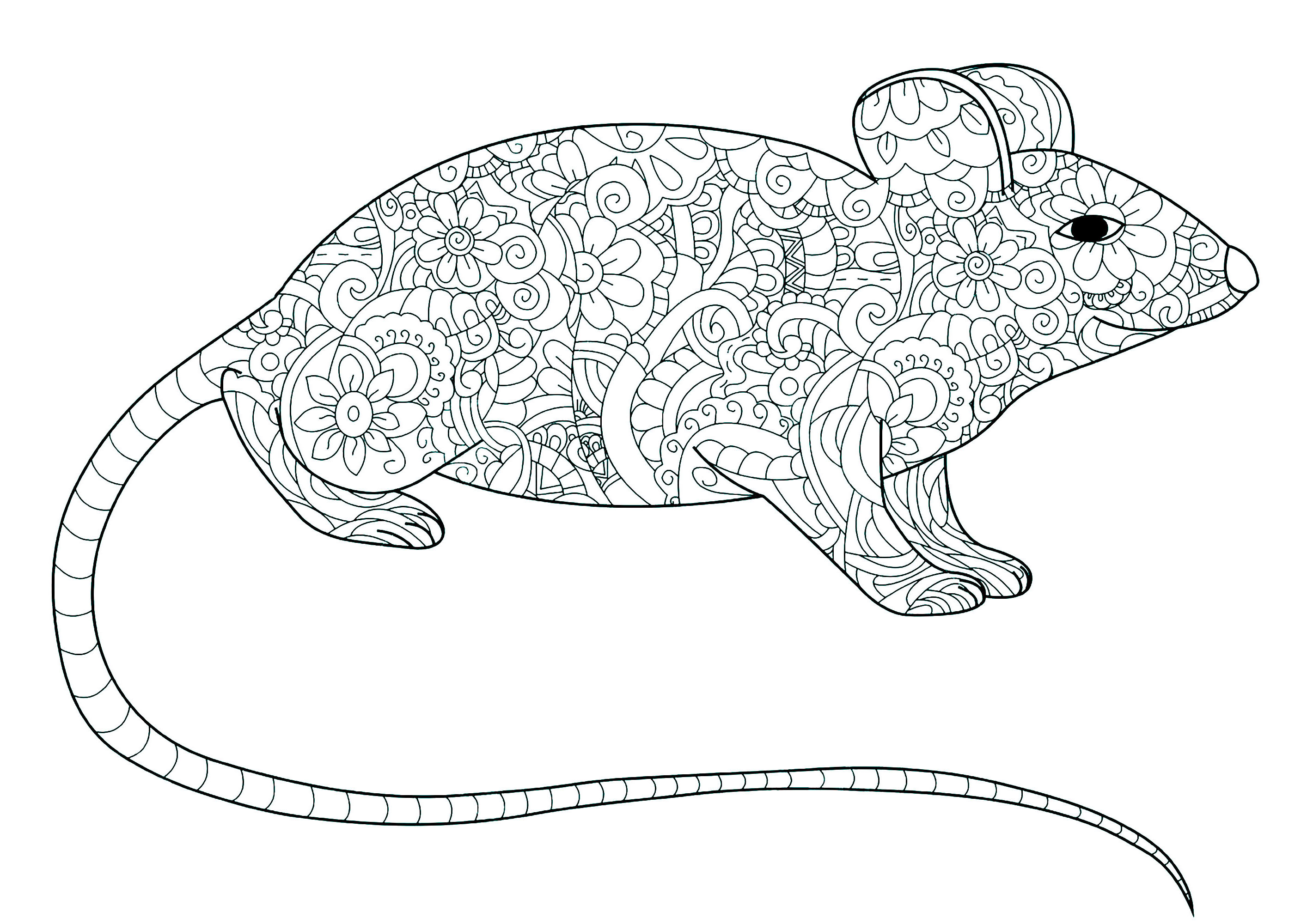 Rato de cauda longa (Página para colorir para crianças) Rato de cauda longa (Página para colorir e imprimir para crianças)