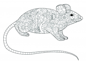 Página de para colorir e imprimir para crianças : Rato de cauda longa