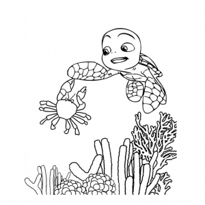 As Aventuras de Sammy : Desenho Samy grátis para descarregar e colorir